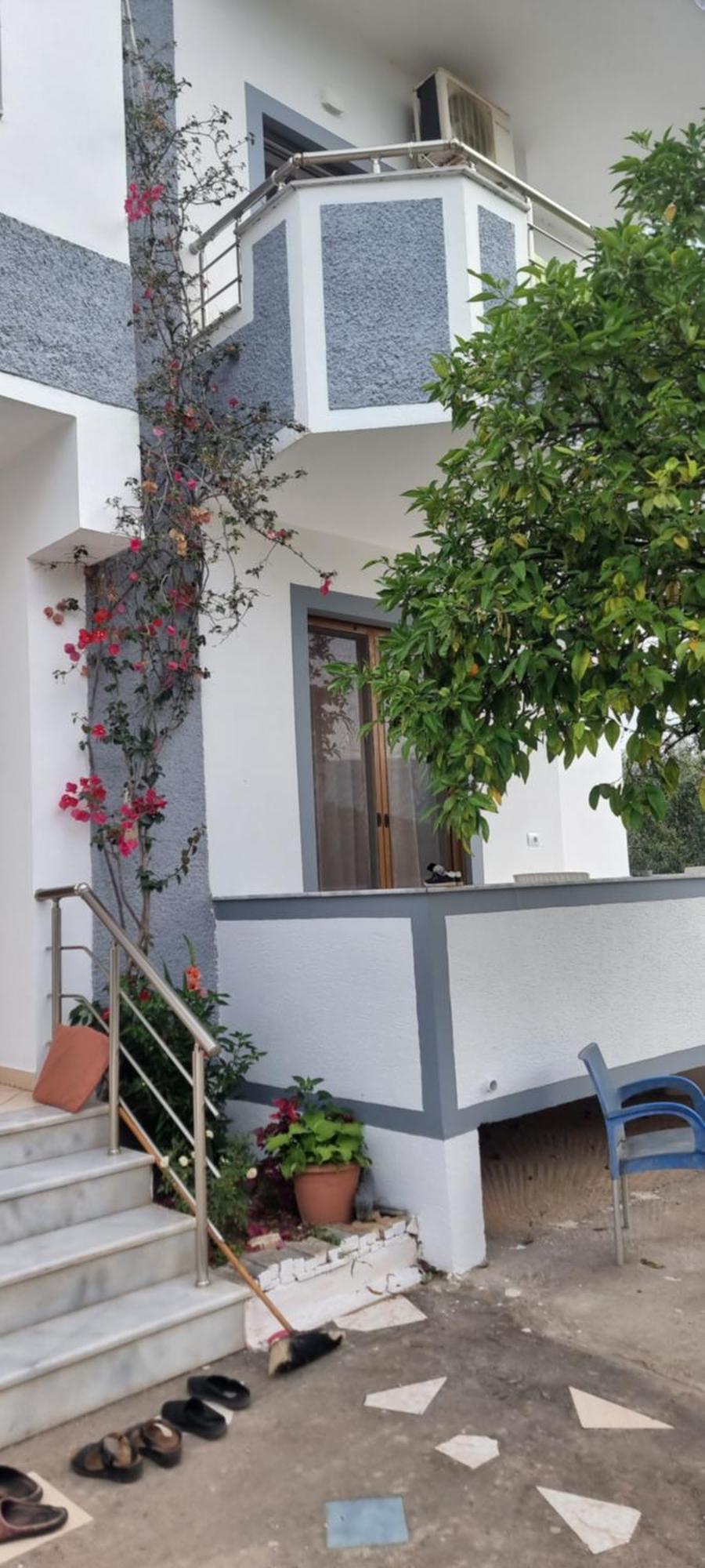 Shapa Guest house *