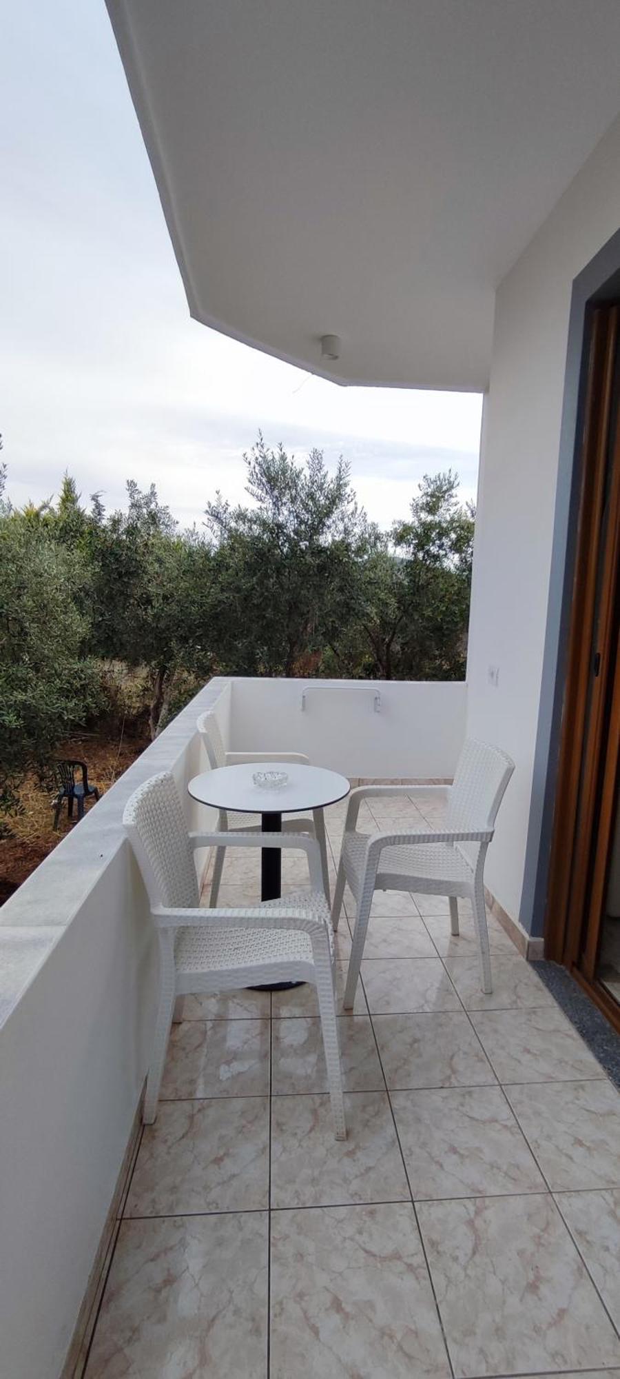 Shapa Guest house