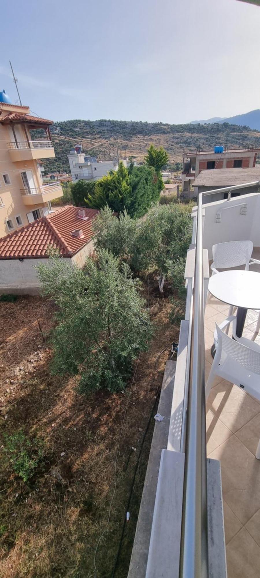 Shapa Guest house